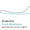 Anatomie Limited