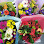 Rangiora Flowers