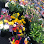 Flowers Shop