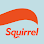 Squirrel South Island