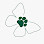 Green Butterfly Dog Grooming