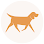 Everything Dog